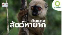 มาดากัสการ์ โลกอีกใบของธรรมชาติ | สารคดี สำรวจโลก