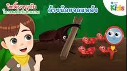 ด้วงน้อยจอมพลัง | วิดดี้ผจญภัย "โลกของสัตว์และแมลง"