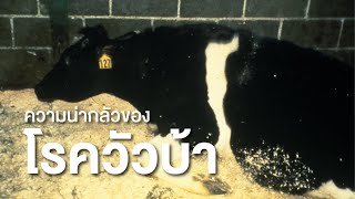 สารคดี สำรวจโลก ตอน ความน่ากลัวของโรควัวบ้า