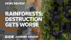 Rainforests: destruction gets worse: BBC News Review