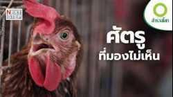 โลกเผชิญศัตรูเงียบ สงครามมนุษย์กับโรคระบาดครั้งใหญ่ | สารคดี สำรวจโลก ตอน ศัตรูที่มองไม่เห็น