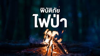 สารคดี สำรวจโลก ตอน พิบัติภัยไฟป่า