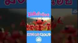 เพลงมดตัวน้อย กับ เจ้ามูนนี่ @KidsOnCloud