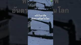 #doxzilla #สำรวจโลก #สารคดี #ตกปลา #ชาวประมง #สารคดีสัตว์