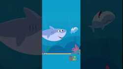 Happy Finny The Shark Week! #babyshark #finnythesharkweek #kidssongs