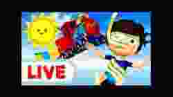 ☀️ Summer Fun LIVE! Animal Adventures, Cars & Songs | Baby Shark, Wheels on the Bus & More ?