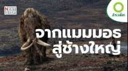 เมื่อมนุษย์ต้องล่า เพื่ออยู่รอดในโลกน้ำแข็ง | สารคดี สำรวจโลก