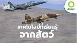 เมื่อวิศวกรรมของสัตว์ผสานเข้ากับนวัตกรรมของมนุษย์ | สารคดี สำรวจโลก