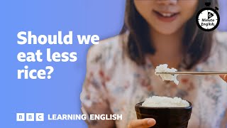 Should we eat less rice? ⏲️ 6 Minute English