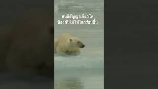 #เสียงเตือนจากธรรมชาติ #สำรวจโลก #สารคดี #doxzilla @nextstepwave