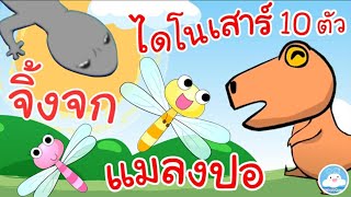 เพลงจิ้งจก เพลงแมลงปอ เพลงไดโนเสาร์ 10 ตัว เพลงเด็กน้อยวัยอนุบาล @KidsOnCloud 