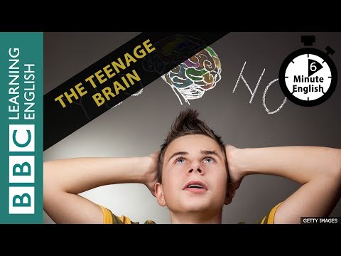 The teenage brain: 6 Minute English