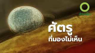 สารคดี สำรวจโลก ตอน ศัตรูที่มองไม่เห็น