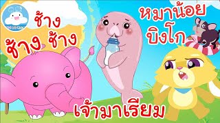เพลงช้างช้างช้าง เพลงเจ้ามาเรียม เพลงหมาน้อยบิงโก เพลงเด็กน้อยวัยอนุบาล @KidsOnCloud 