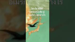 #doxzilla #สำรวจโลก #สารคดี #สารคดีสัตว์ #สารคดีสัตว์โลก