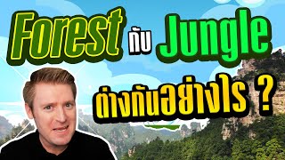 Forest กับ Jungle ต่างกันอย่างไร ?