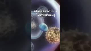 #doxzilla #สำรวจโลก #สารคดี #สารคดีสัตว์