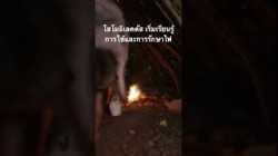 #สำรวจโลก #doxzilla #สารคดี #โฮโมอิเลคตัส