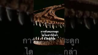 #สำรวจโลก #doxzilla #สารคดี #ไดโนเสาร์