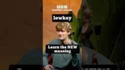 Lowkey: Learn the new meaning! #shorts