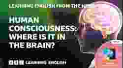 Human consciousness: Where is it in the brain? BBC Learning English from the News