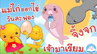 เพลงแม่ไก่ออกไข่วันละฟอง เพลงเจ้ามาเรียม เพลงจิ้งจก เพลงเด็กน้อยวัยอนุบาล @KidsOnCloud 
