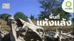 แห้งแล้ง เส้นแบ่งระหว่างความรอดและความตาย | สารคดี สำรวจโลก