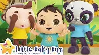 Peek a Boo Song | Brand New Nursery Rhyme & Kids Song - ABCs and 123s | Little Baby Bum