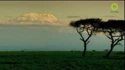 สารคดี สำรวจโลก ตอน ภูเขาไฟเหนือเมฆ