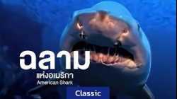 สารคดี ฉลามแห่งอเมริกา