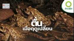 หลับข้ามฤดูกาล ชีวิตที่ตื่นขึ้นอีกครั้งของสัตว์โลก | สารคดี สำรวจโลก