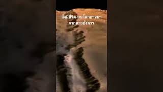 26 September AD 2025