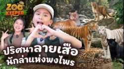 ปริศนาลายเสือ นักล่าแห่งพงไพร | Zookeeper