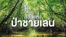 สารคดี สำรวจโลก ตอน สีสันแห่งป่าชายเลน