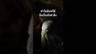 ดูวิดีโอเต็มกด Created from @nextstepwave #doxzilla #สำรวจโลก #สารคดี #สารคดีสัตว์ #สารคดีสัตว์โลก