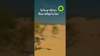 #สำรวจโลก #doxzilla #สารคดี #ไดโนเสาร์