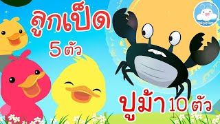 เพลงปูม้า 10 ตัว สอนนับ1 2 3 & เพลงลูกเป็ด 5 ตัว เพลงความรู้เด็กน้อยวัยอนุบาล @KidsOnCloud 