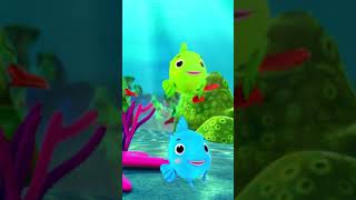 ? Count the Fish! How Many Can You Spot? ?? #LBB #Short #count