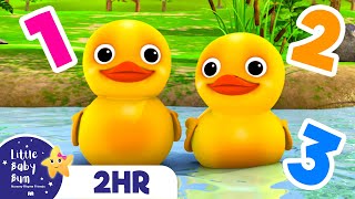 Counting Duck Song - Learning numbers + More | Little Baby Bum Kids Songs and Nursery Rhymes