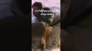 #สำรวจโลก #doxzilla #สารคดี #ทวีปอาร์คติก