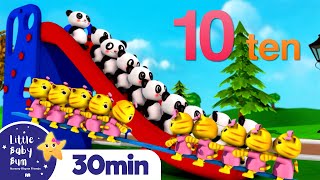 10 Little Animals | Kittens, Pandas, and Monkeys | +Nursery Rhymes and Kids Songs | Little Baby Bum