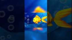 Count Numbers in the Sea?! - 10-100 Song ?? #LBB #Short  #Counting