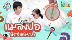 ? ส่องกล้องจุลทรรศน์ดู "แมลงปอ" นักล่าแห่งเวหา ? | จิ๋วส่องโลก