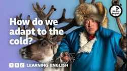 How do we adapt to the cold? ⏲️ 6 Minute English