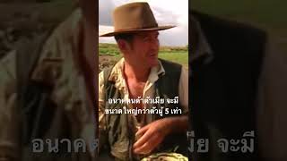 ดูสารคดีเต็ม กด Created from @nextstepwave #สำรวจโลก #doxzilla #สารคดี #สารคดีสัตว์โลก #อนาคอนด้า