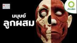 เกิดอะไรขึ้นระหว่างมนุษย์กับนีแอนเดอร์ทัล ? | สารคดี สำรวจโลก