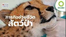 เมื่อสัตว์เจ็บป่วย ใครจะยื่นมือช่วย? | สารคดี สำรวจโลก