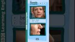 The short vowel /e/ and the short vowel /ɪ/ #shorts