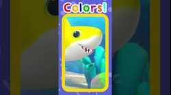 Colorful Sharks ?✨ #LBB #Short #color