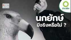 จากตำนานสู่เหตุการณ์จริง ปริศนานกยักษ์ที่อาจยังมีชีวิตอยู่ | สารคดี สำรวจโลก ตอน  นกยักษ์ปริศนา